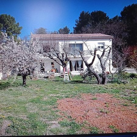 La Maison De Papou La Vigne A Nans Les Pins 83860 Dış mekan fotoğraf