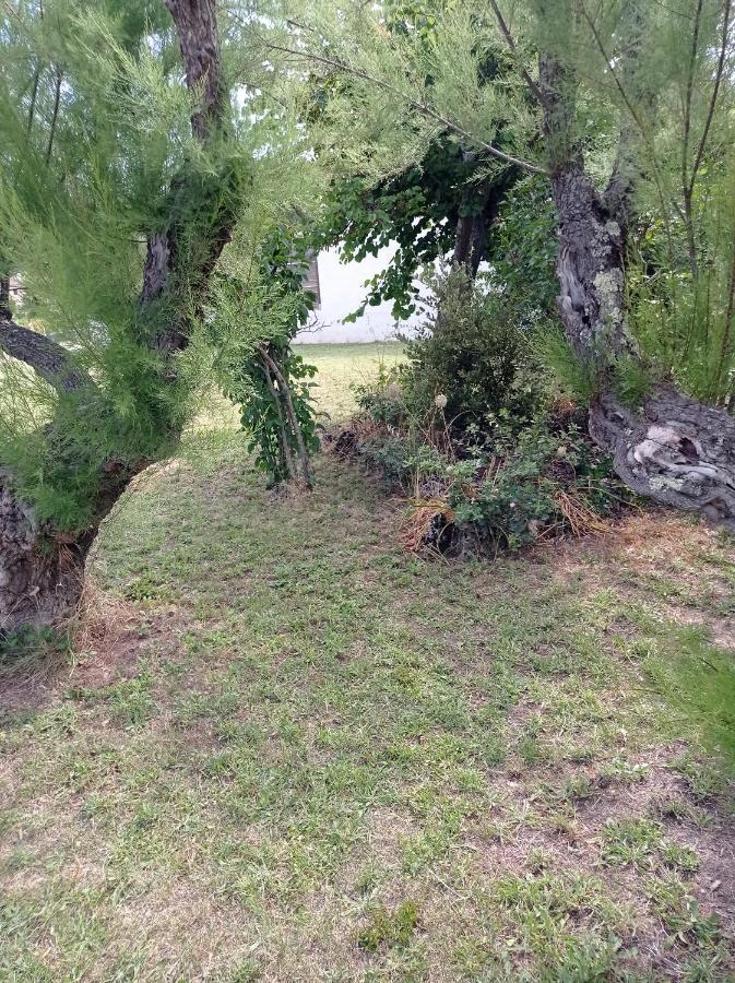 La Maison De Papou La Vigne A Nans Les Pins 83860 Dış mekan fotoğraf