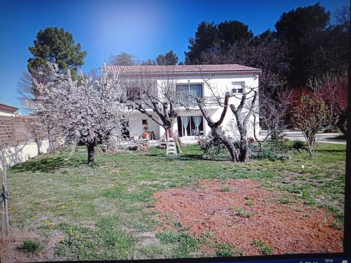 La Maison De Papou La Vigne A Nans Les Pins 83860 Dış mekan fotoğraf