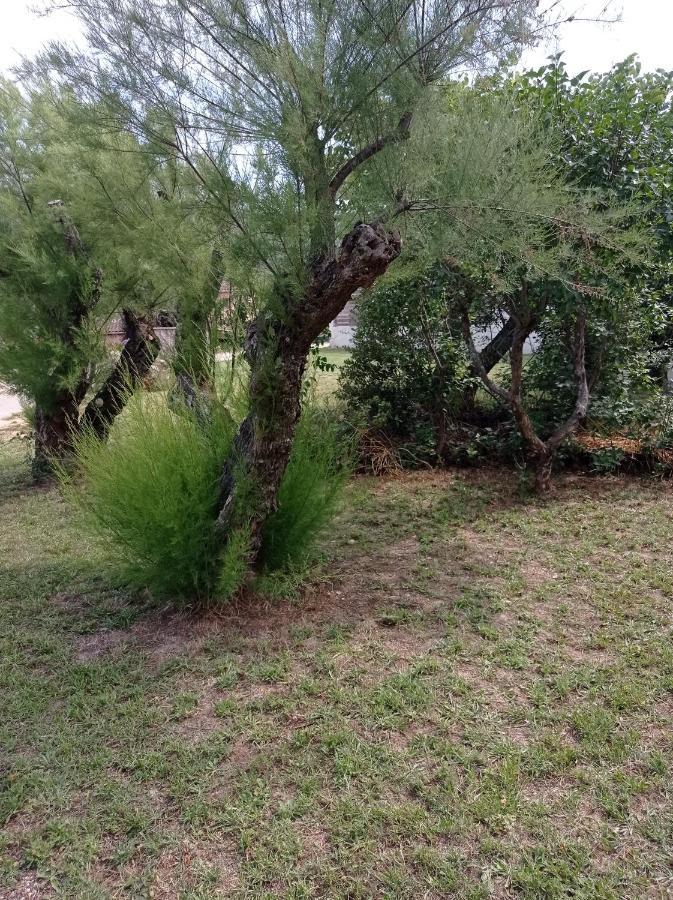 La Maison De Papou La Vigne A Nans Les Pins 83860 Dış mekan fotoğraf